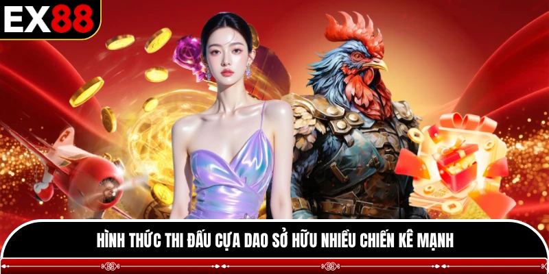 Hình thức thi đấu cựa dao sở hữu nhiều chiến kê mạnh